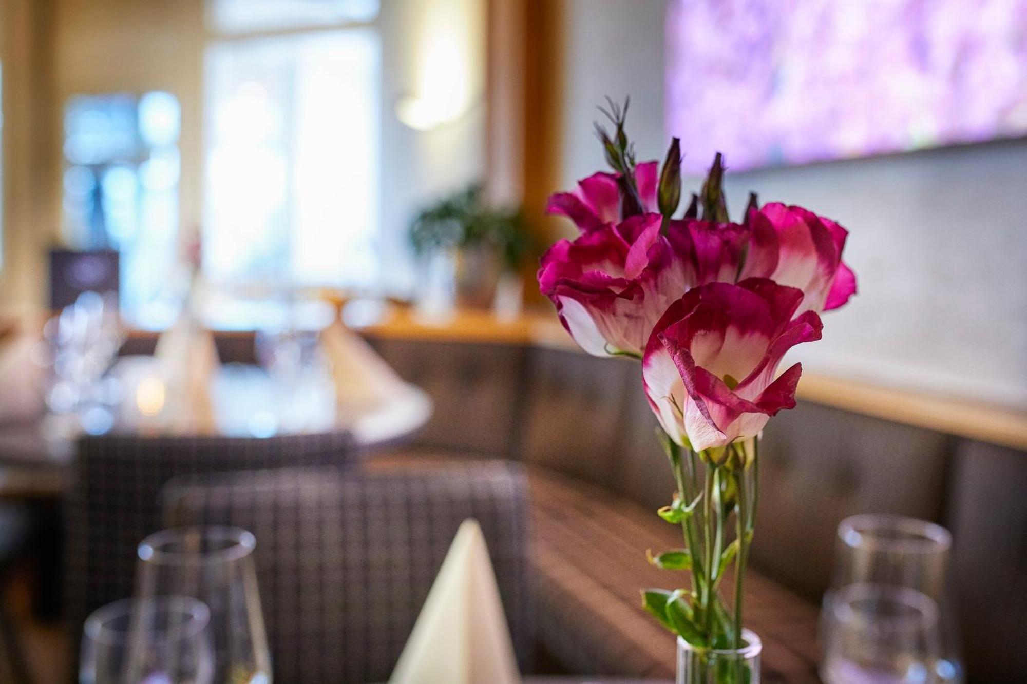 Hotel Pergola Im Goebels Hotel Rodenberg Ротенбург-на-Фульде Экстерьер фото